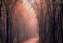 华体会注册-卡尔蒂斯核心球员体能管理，世俱杯冲刺关键因素