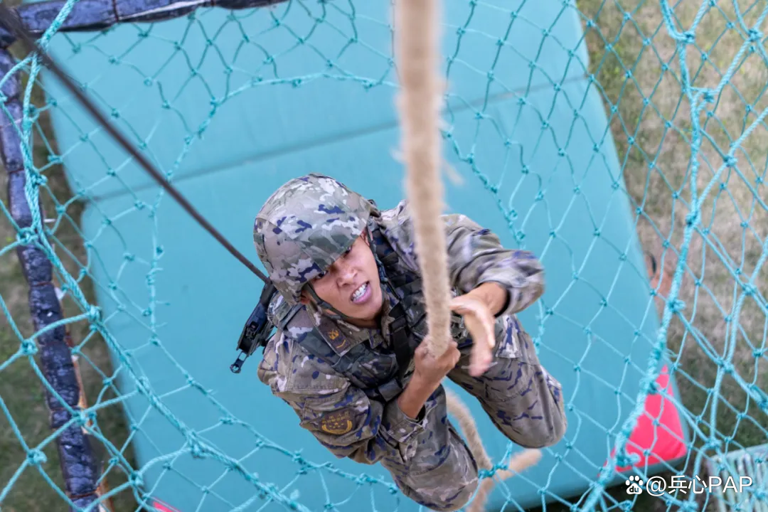 包含奥地利首战告捷，士气高昂备战下一场的词条