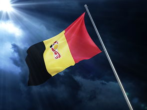 华体会app下载地址-国际邀请赛：巴拉圭对哥斯达黎加，势均力敌，巴拉圭vs哥伦比亚历史比分