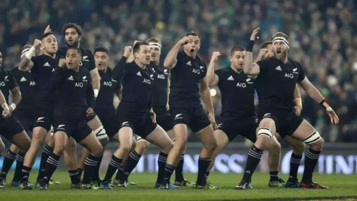 华体会直播-国家队士气高涨，气势如虹的简单介绍